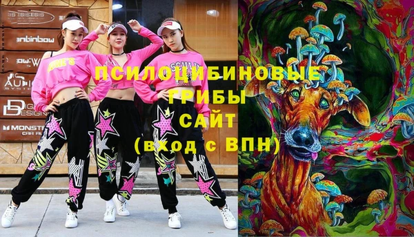 стафф Зеленодольск