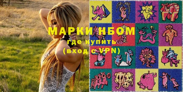 индика Иннополис